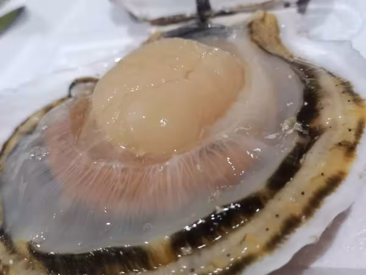画像6