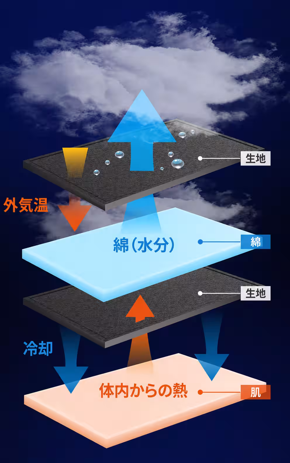 画像14
