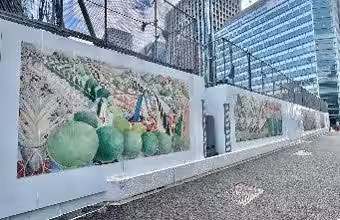 画像12