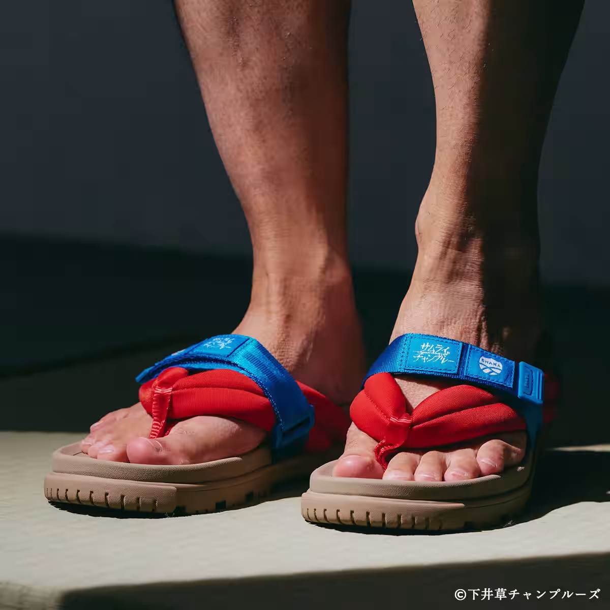 画像11