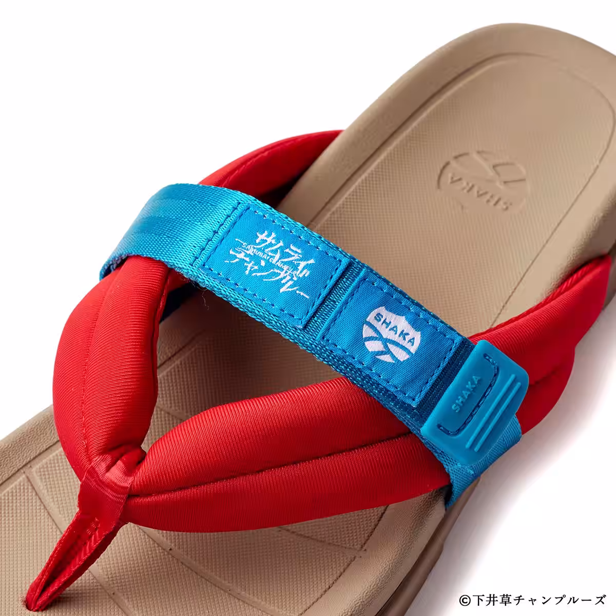画像5