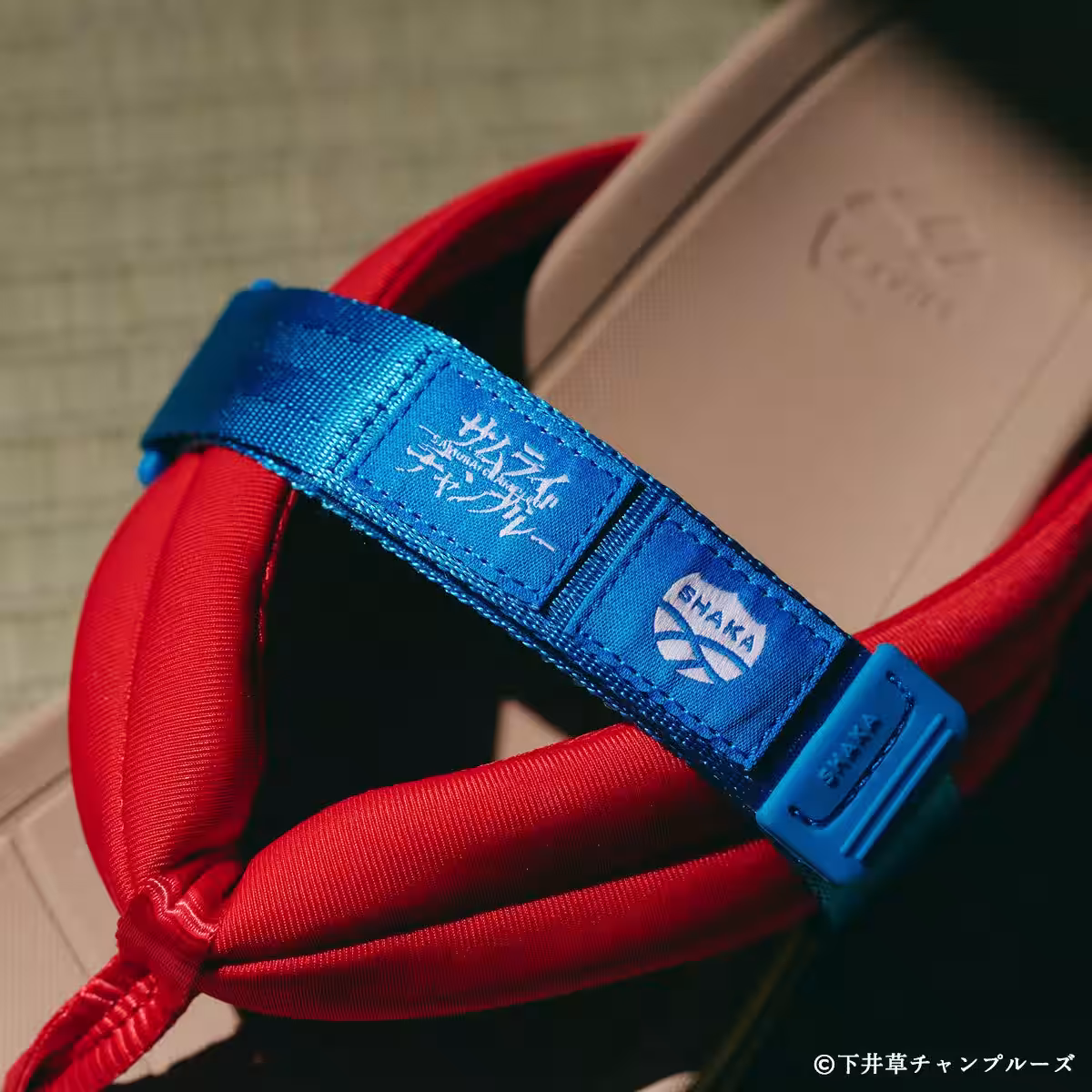 画像9