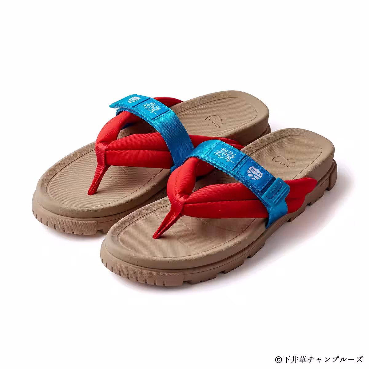 画像4