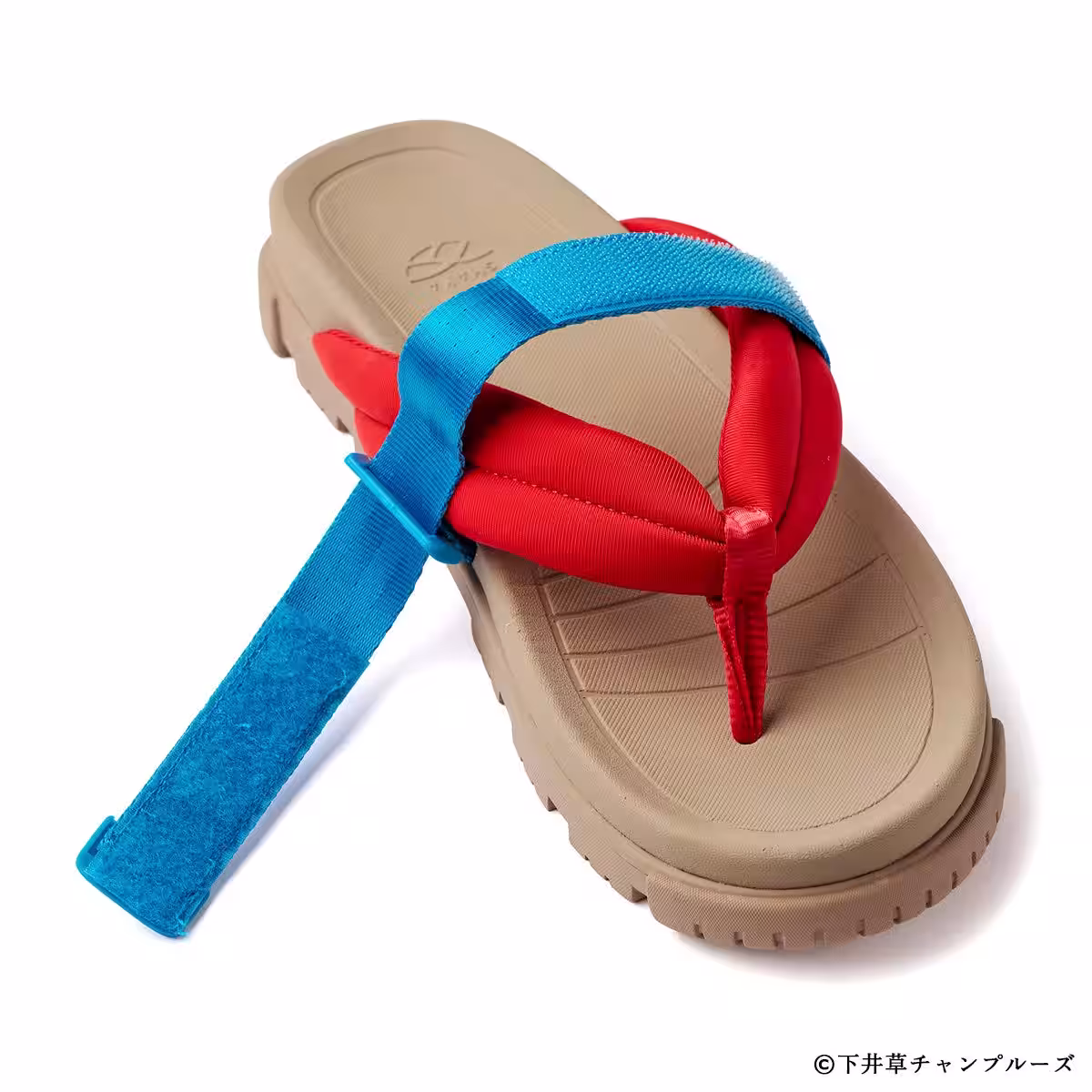 画像7