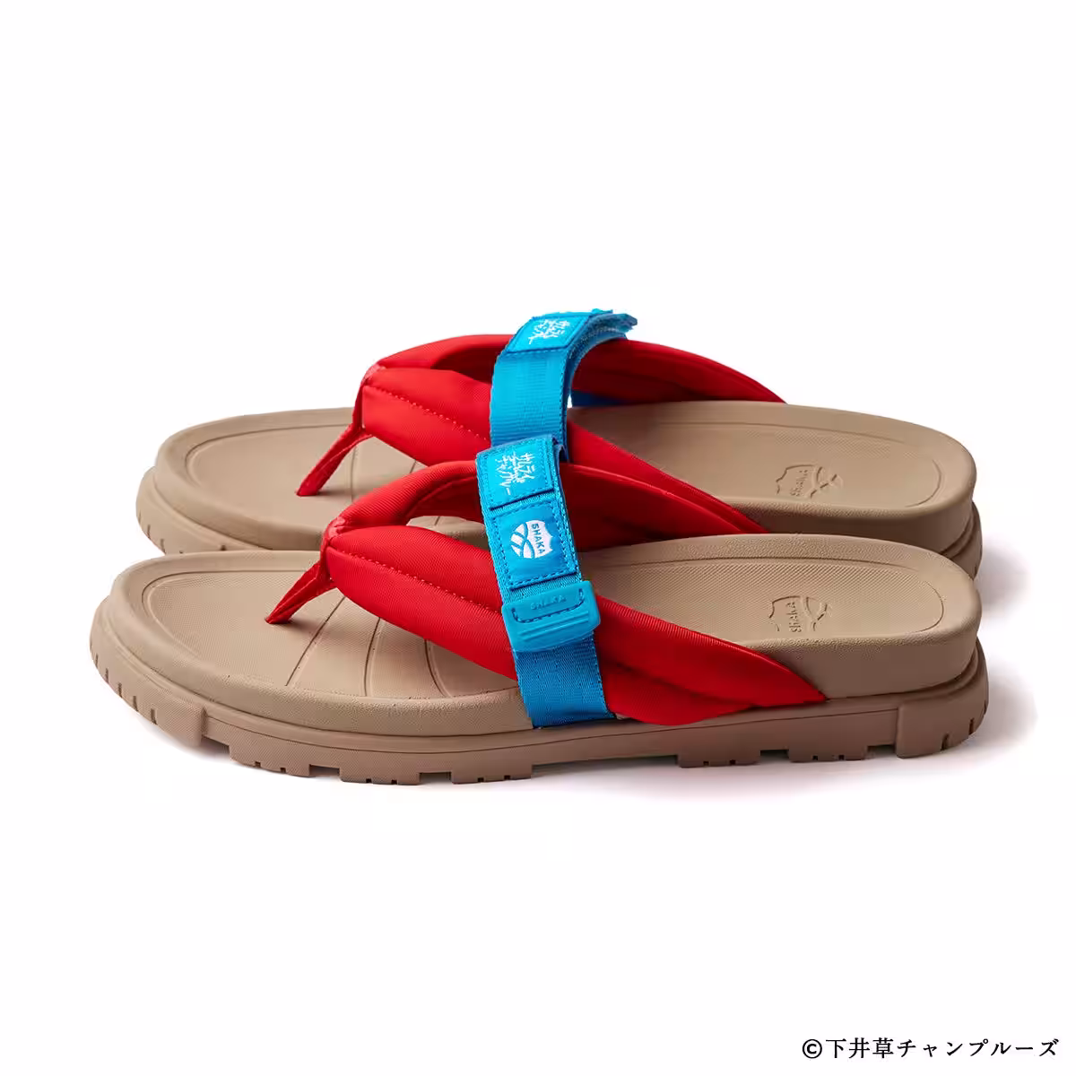 画像12