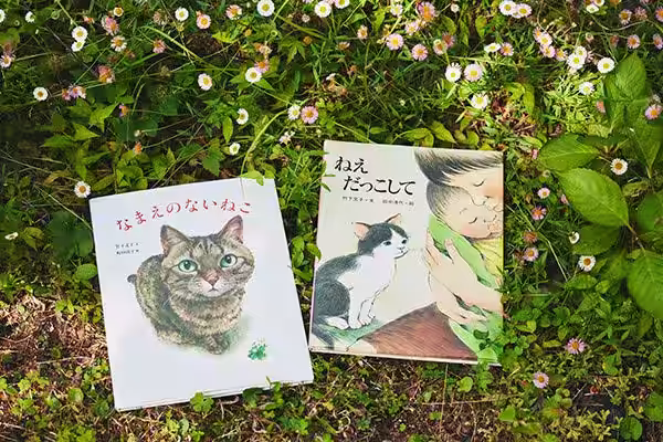 画像6