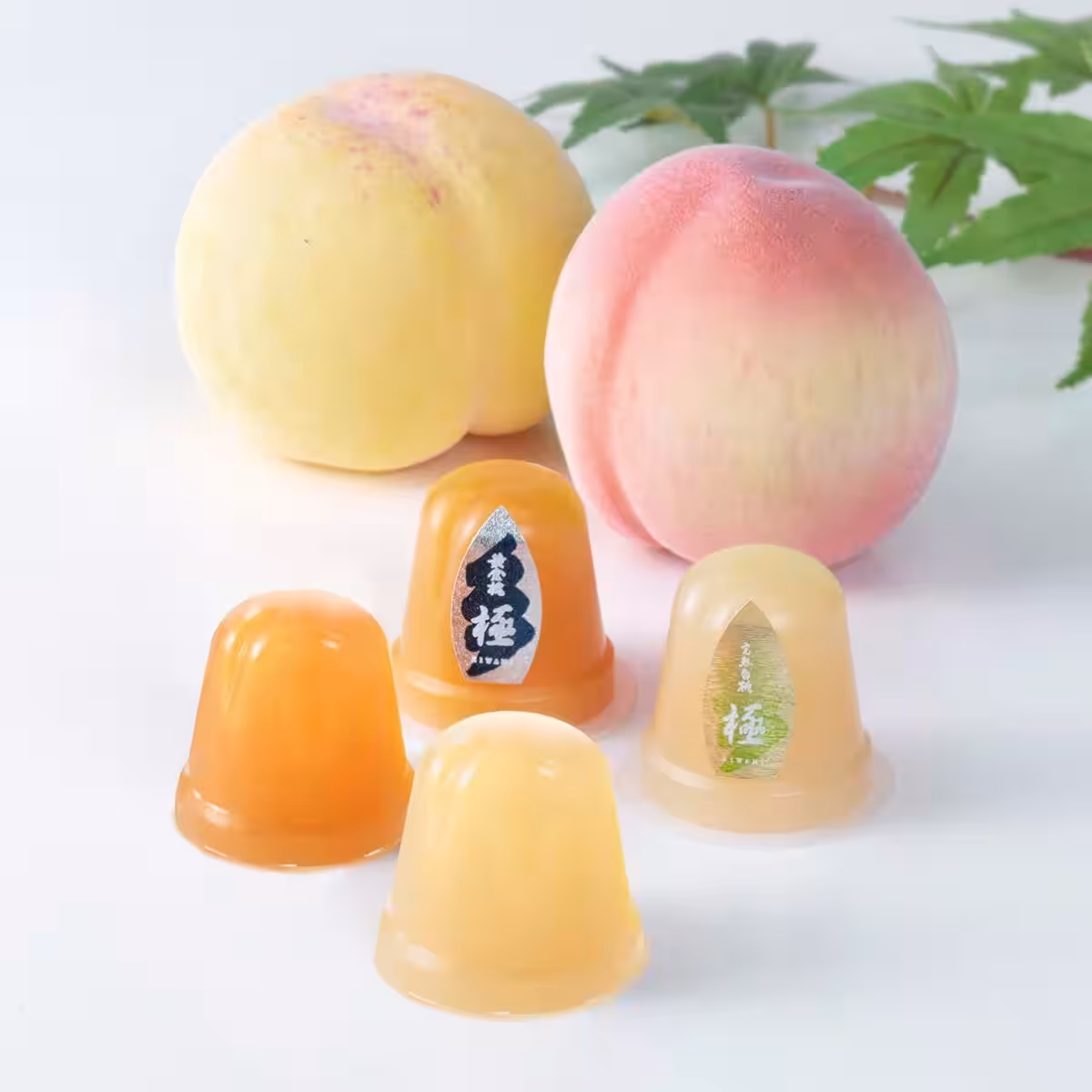 画像14