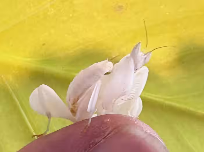 画像23