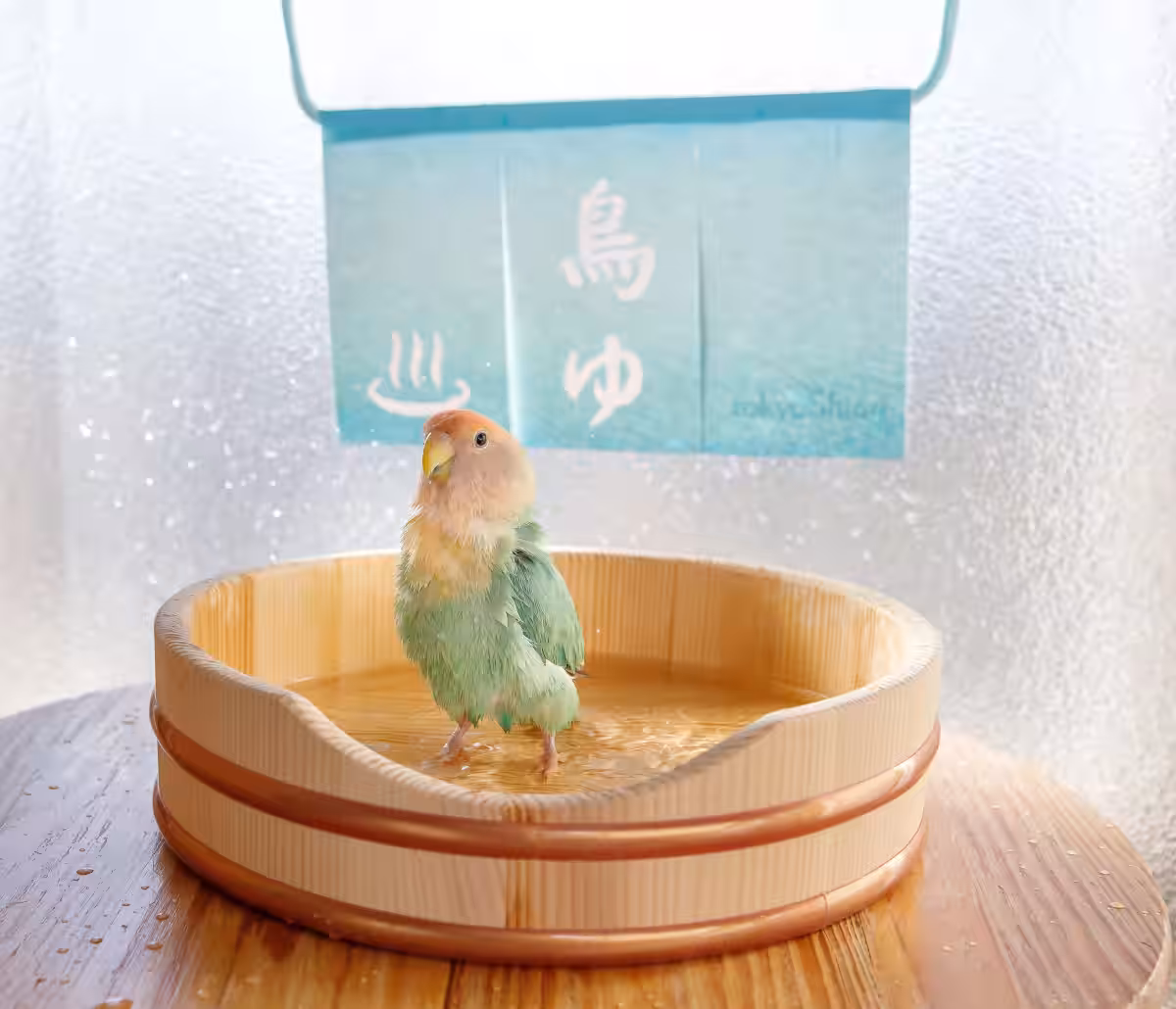 画像7