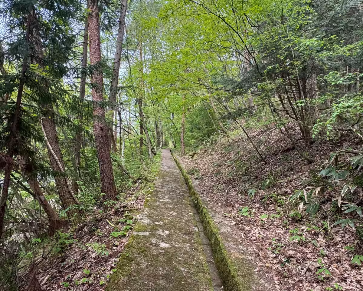 画像8