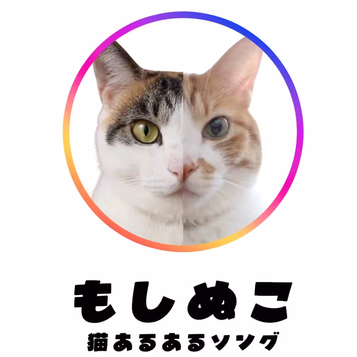 画像19