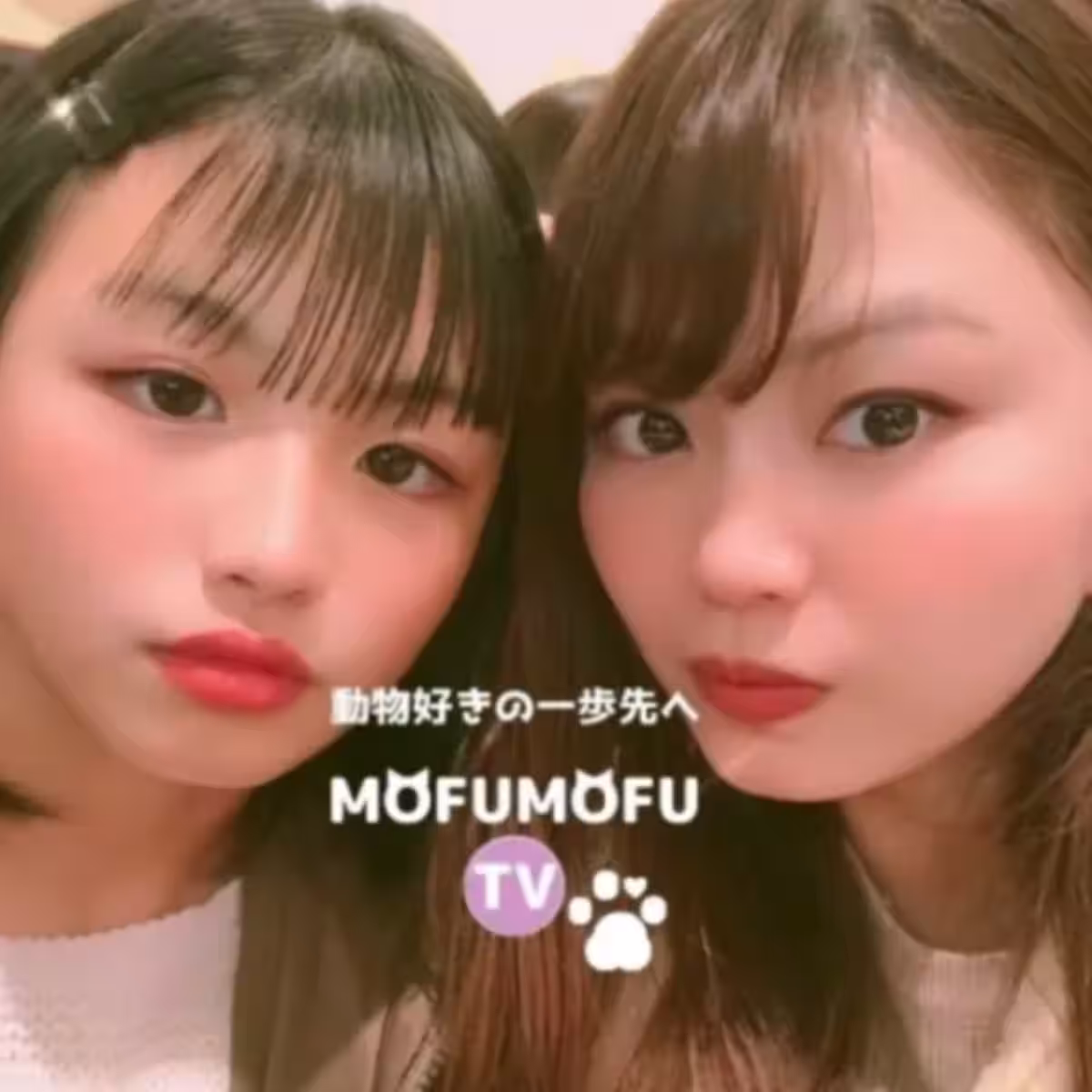 画像18