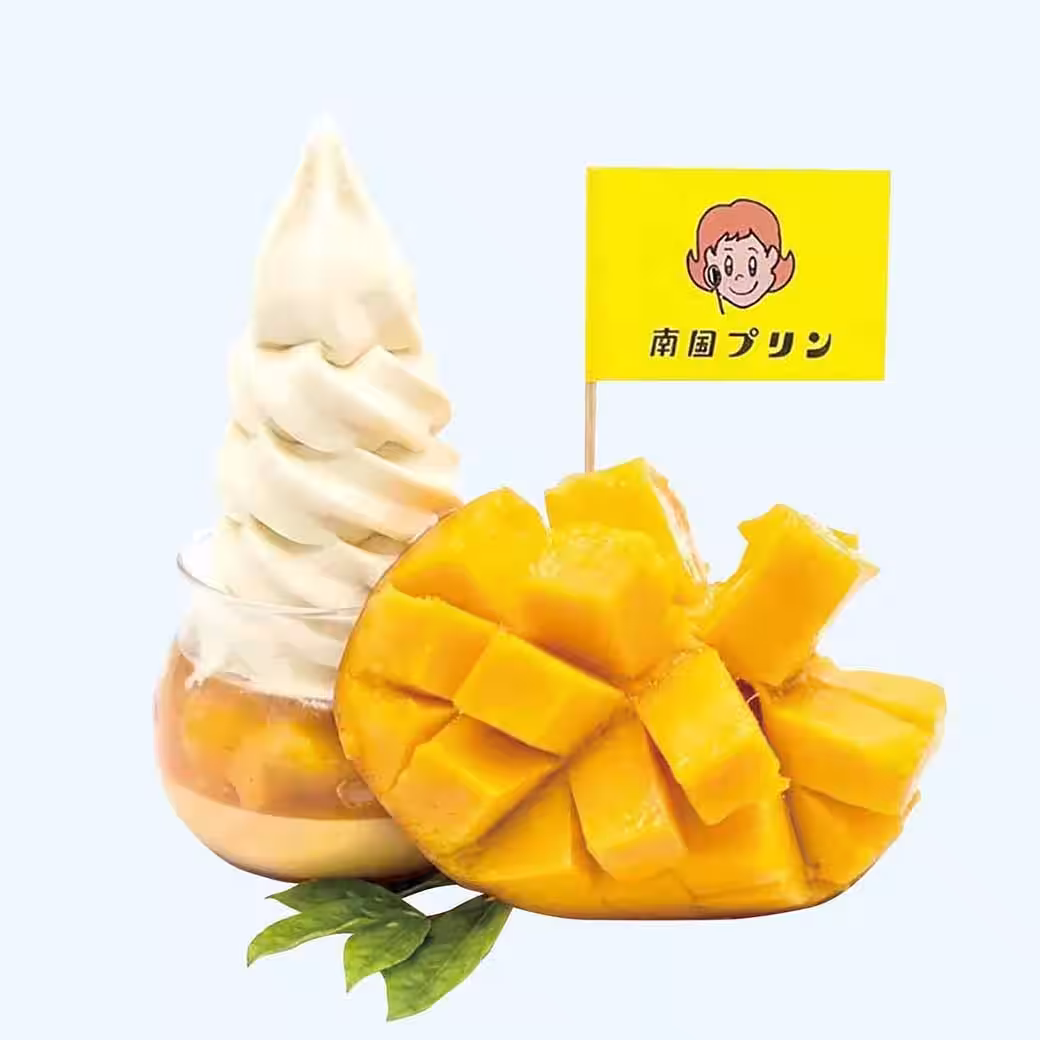 画像15