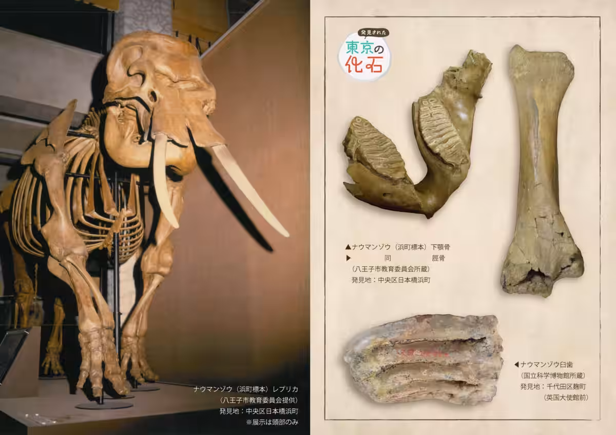 画像8