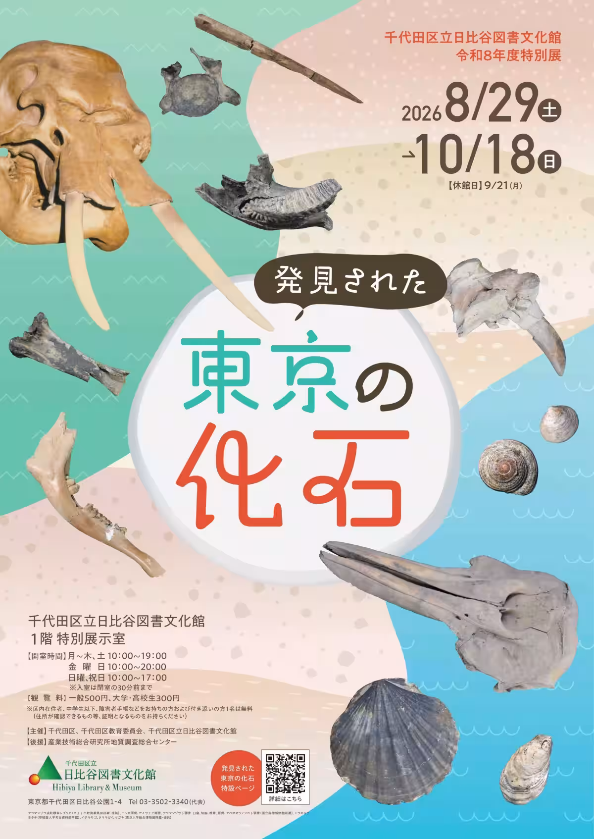 画像7