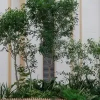 VUILDとコクヨの受賞