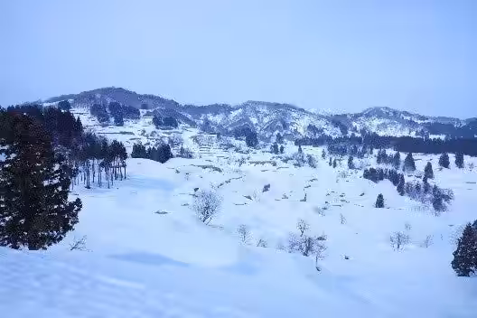 画像9