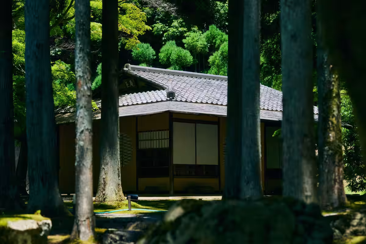 画像12