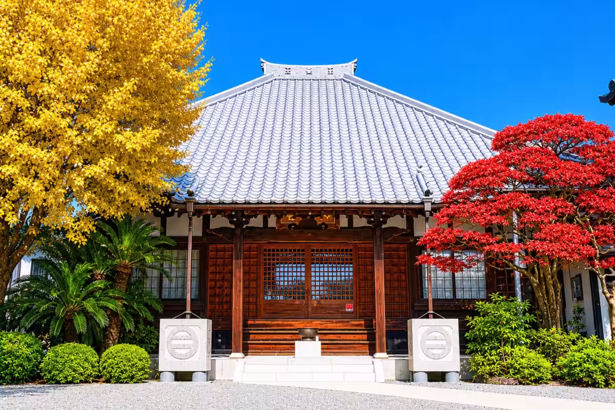 画像14