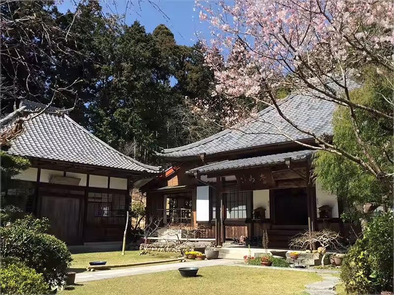 画像7