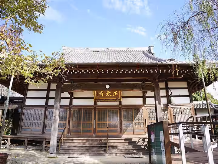 画像8