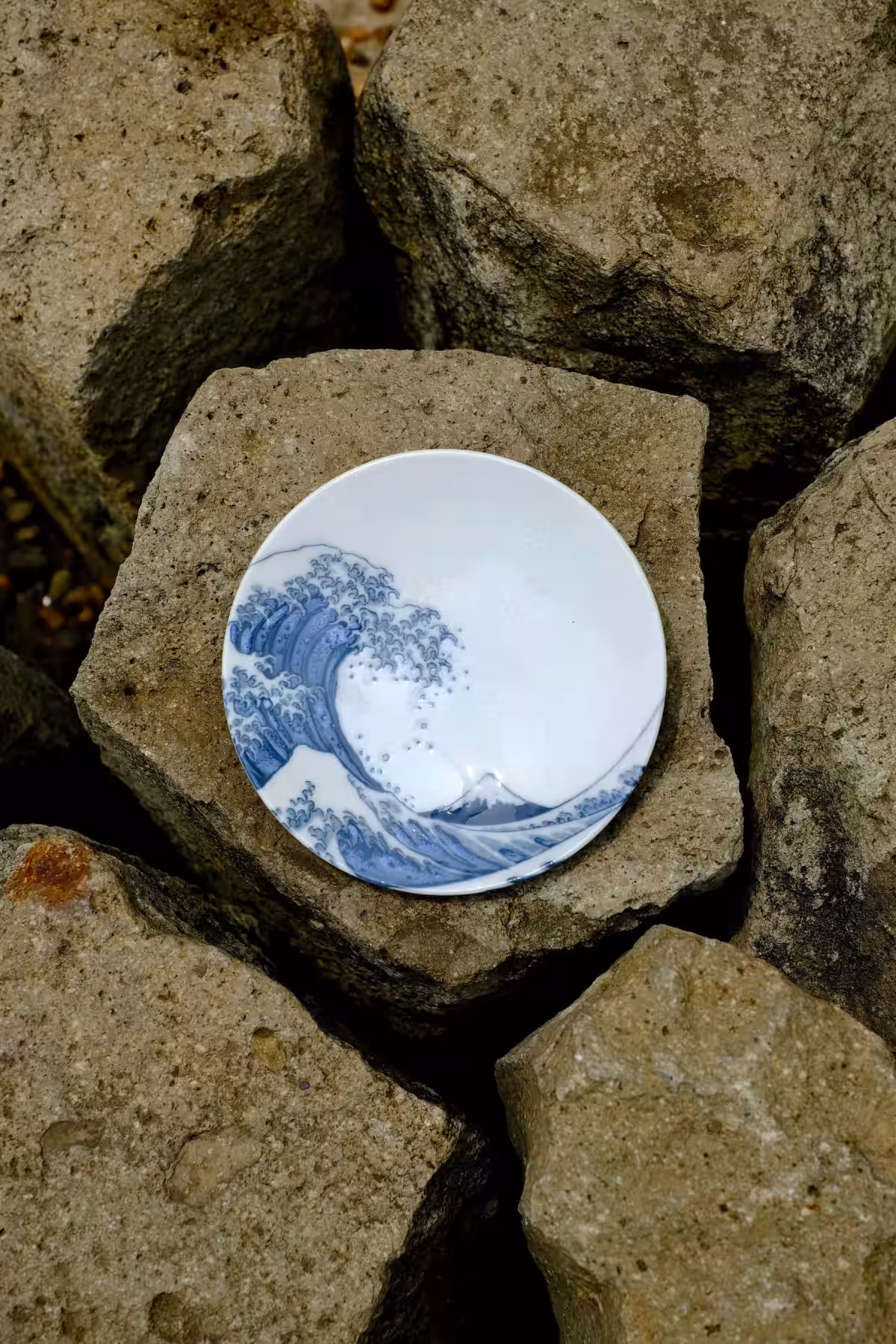 画像12
