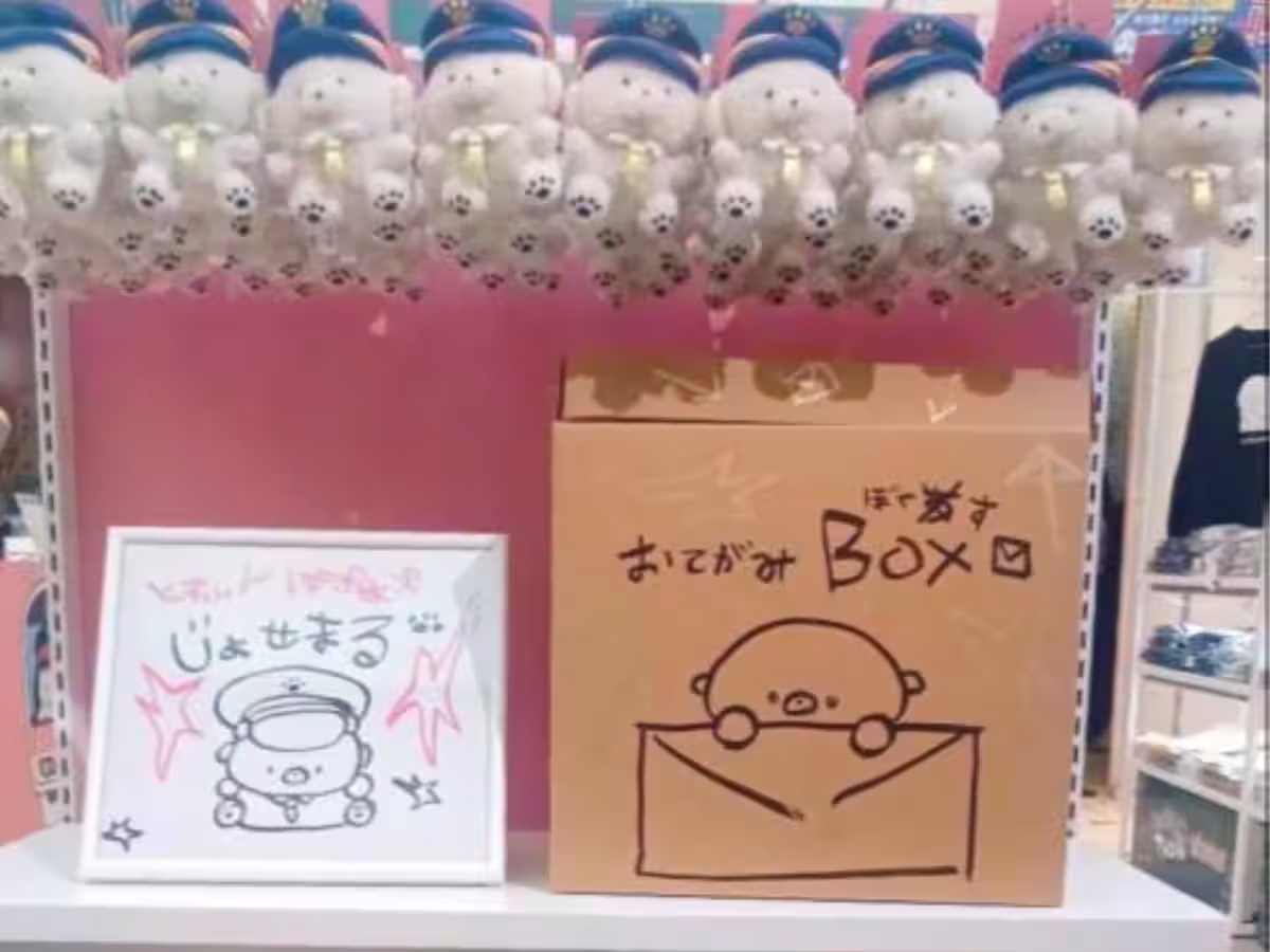 画像4