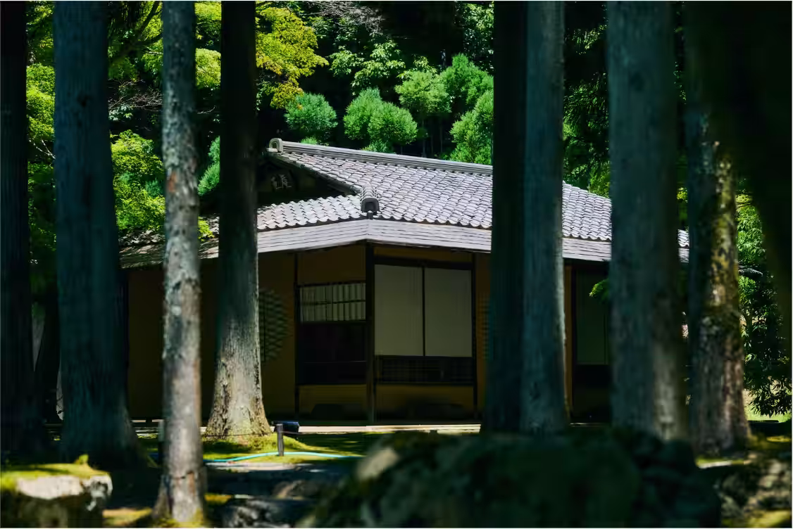画像11
