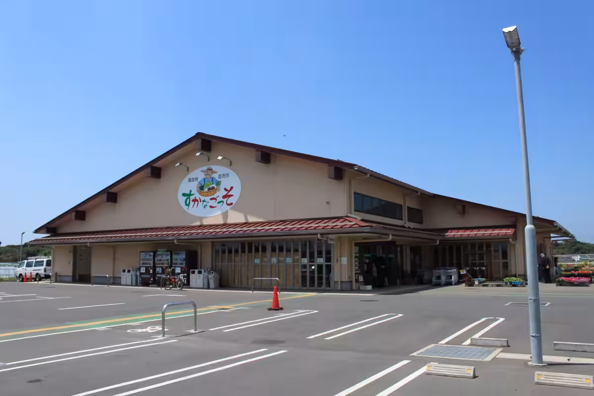 画像4