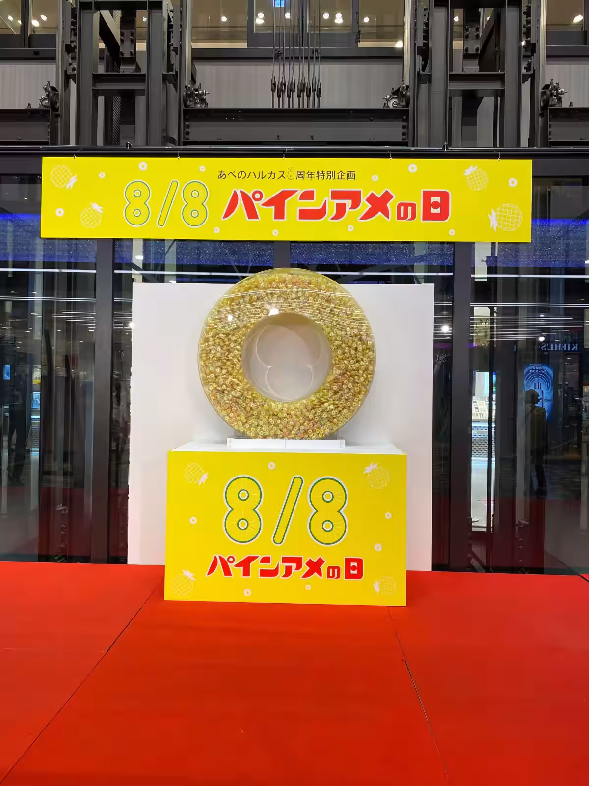 画像7