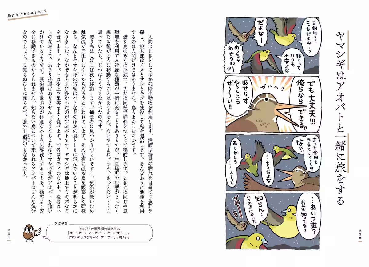 画像11