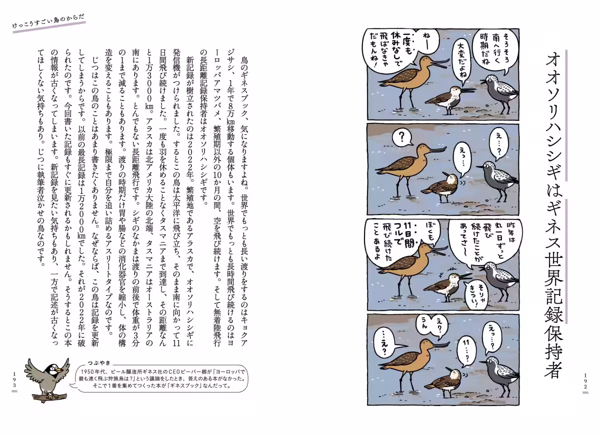 画像10