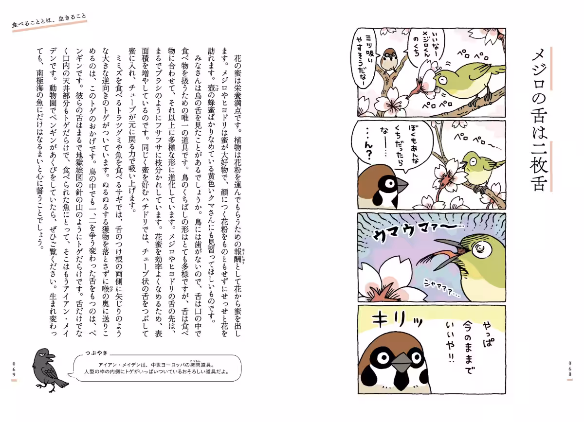 画像7