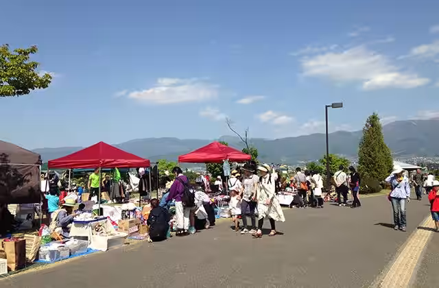 画像5