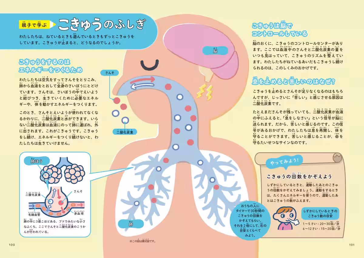 画像8