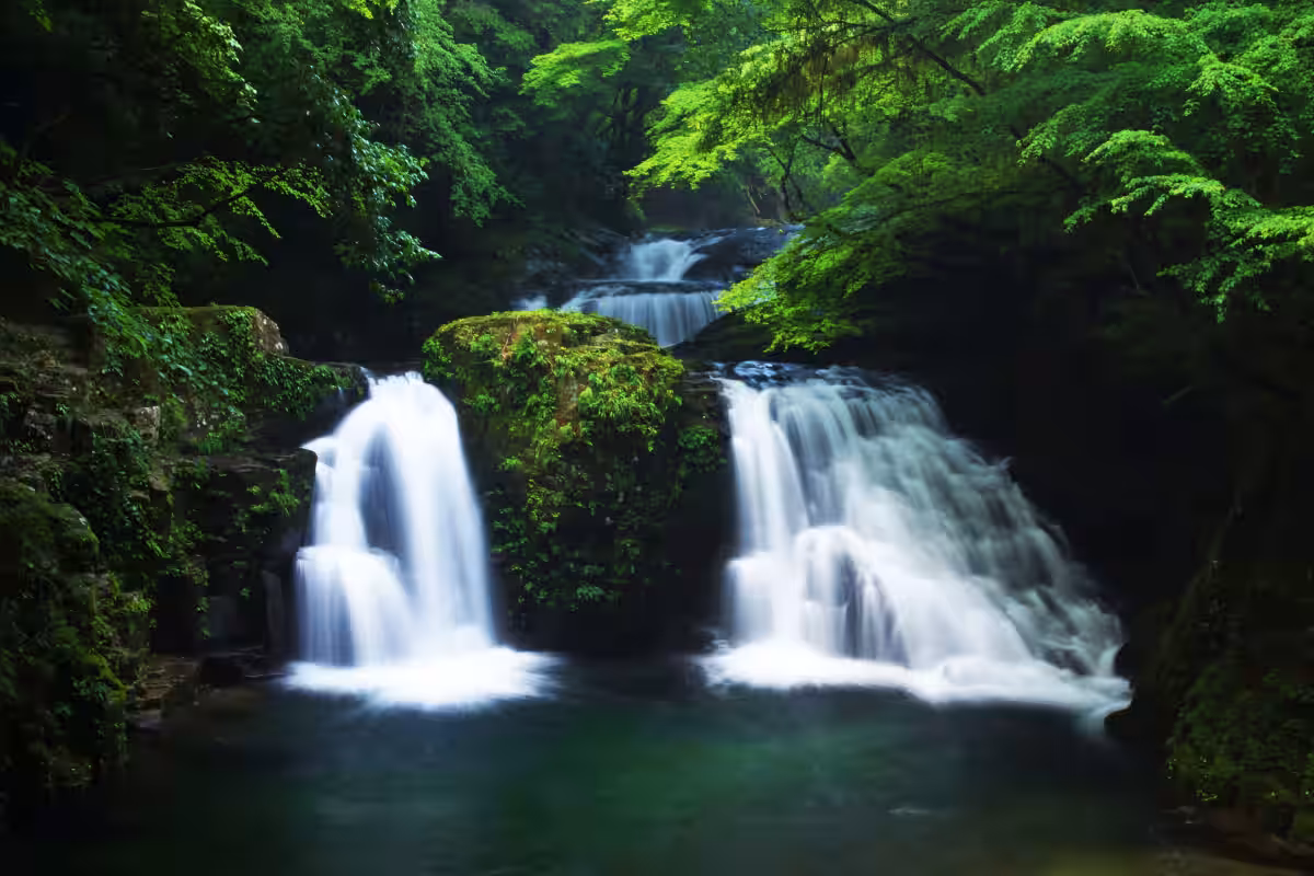 画像5
