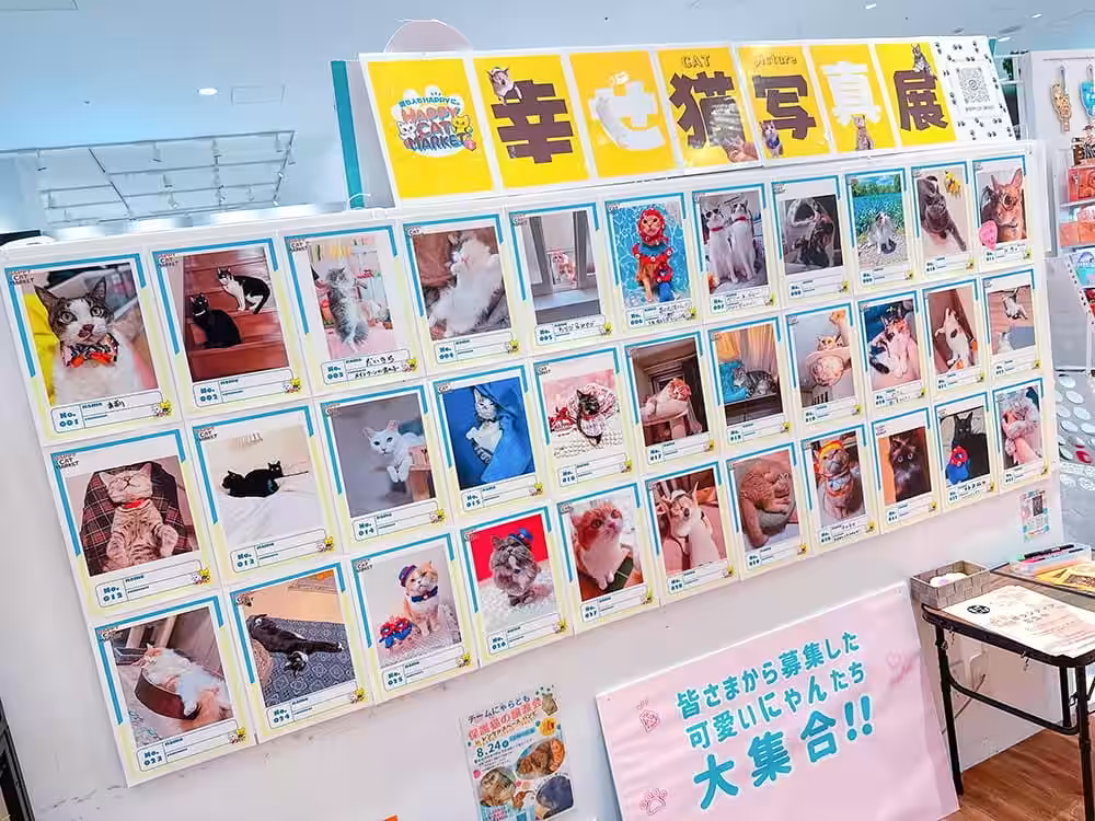 画像14