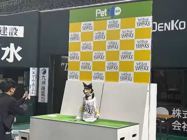画像16