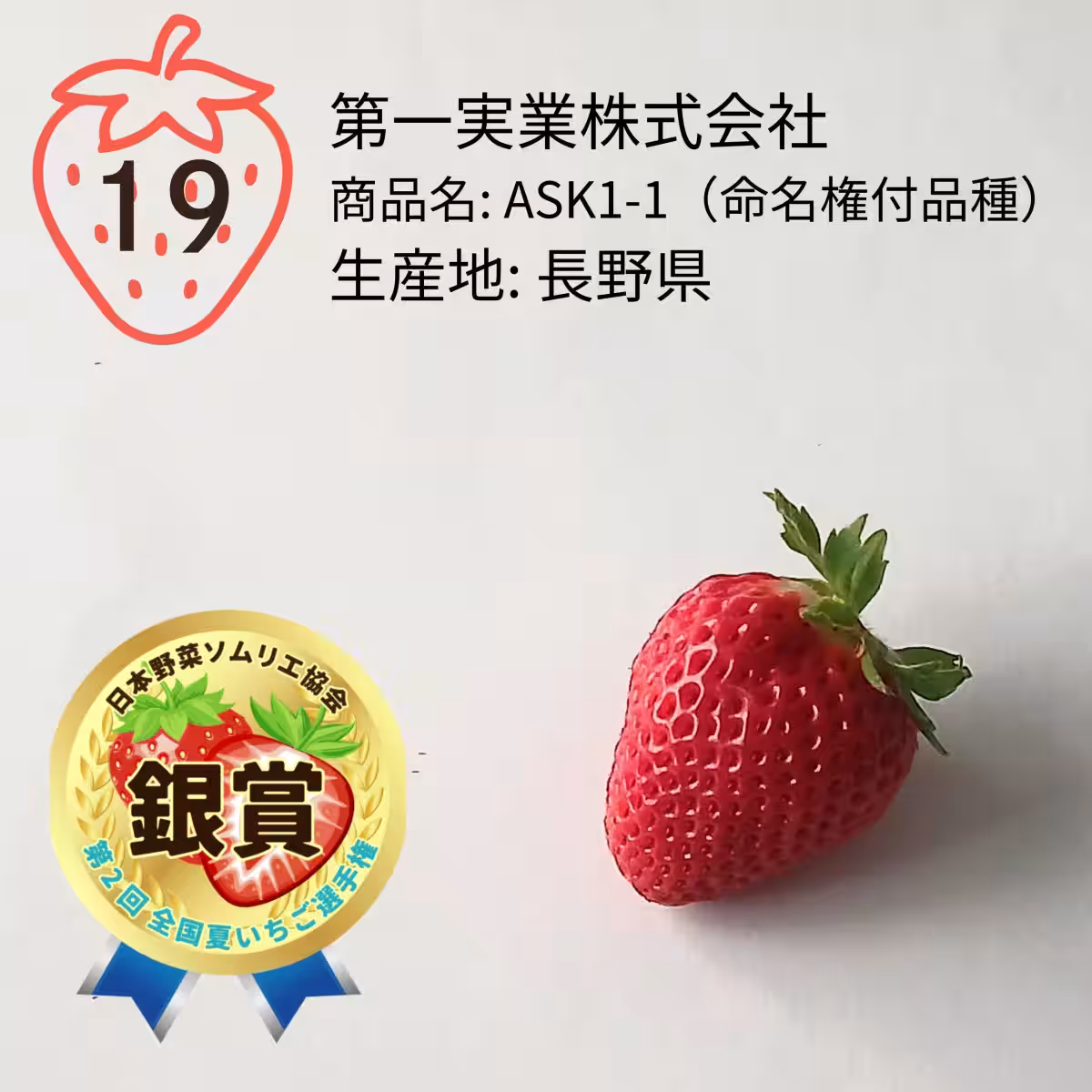 画像11