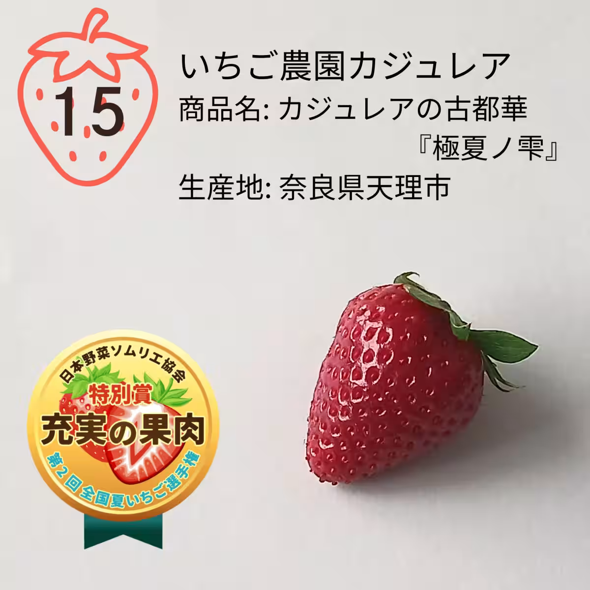 画像14