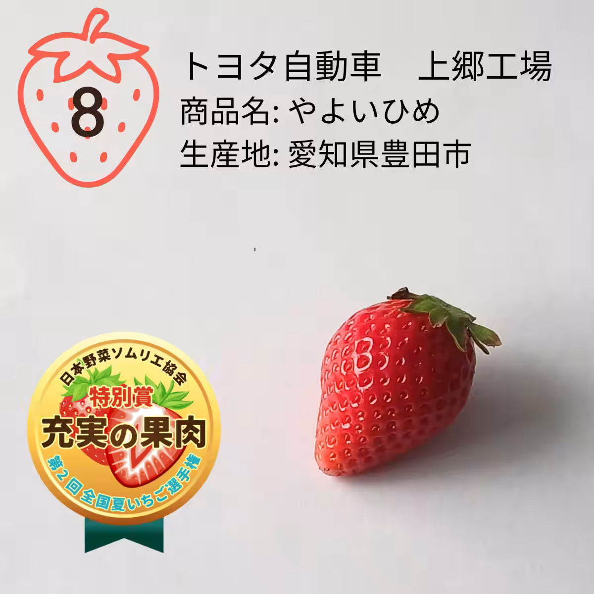 画像13