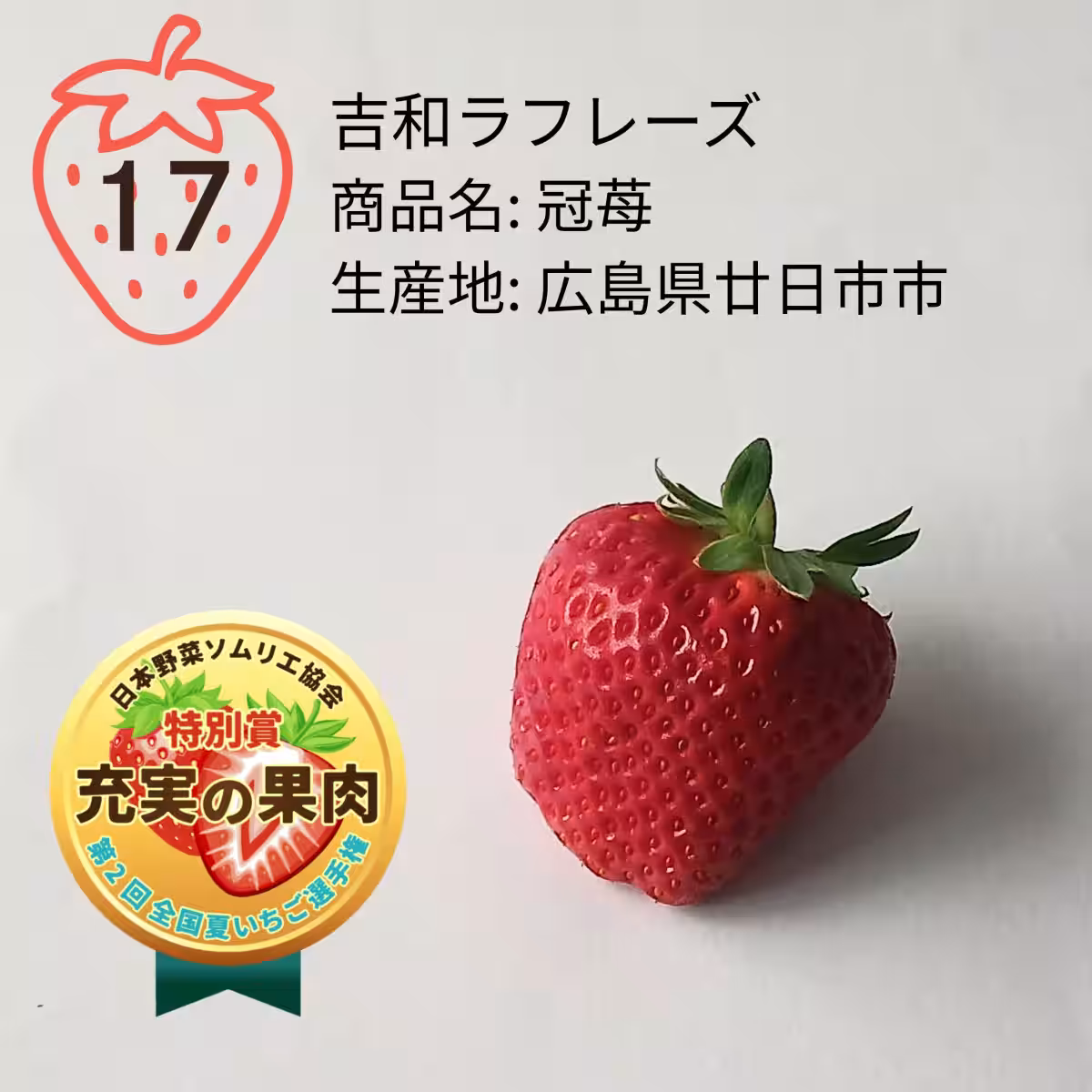 画像15