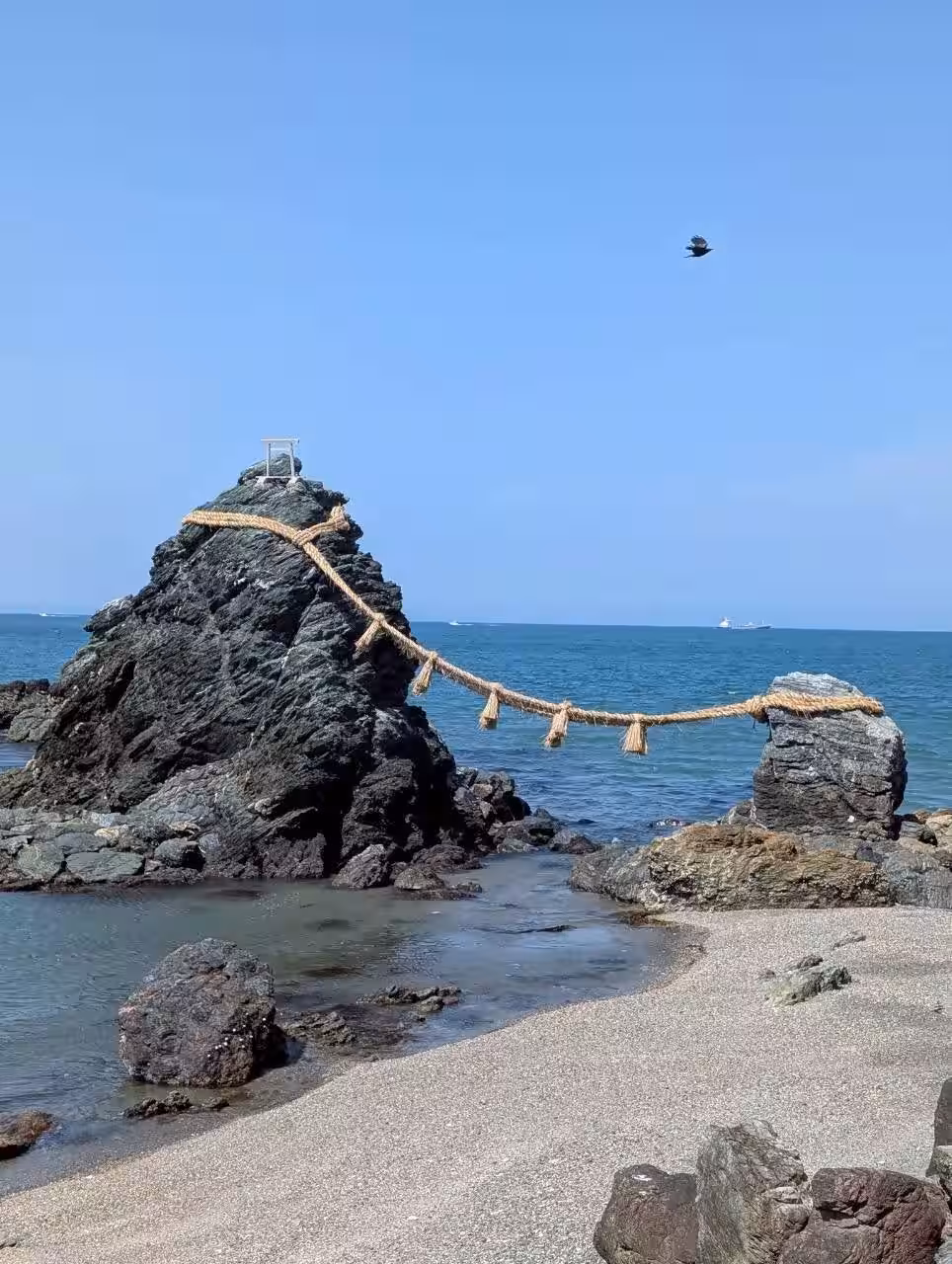 画像2