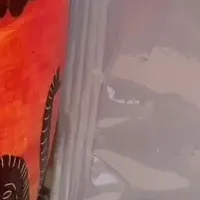 マラウイ交流コーヒー