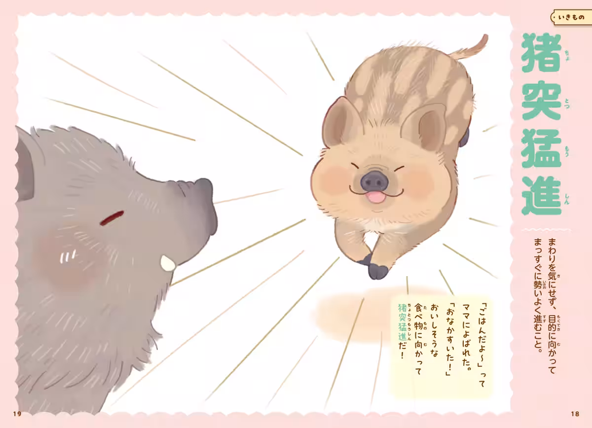画像12
