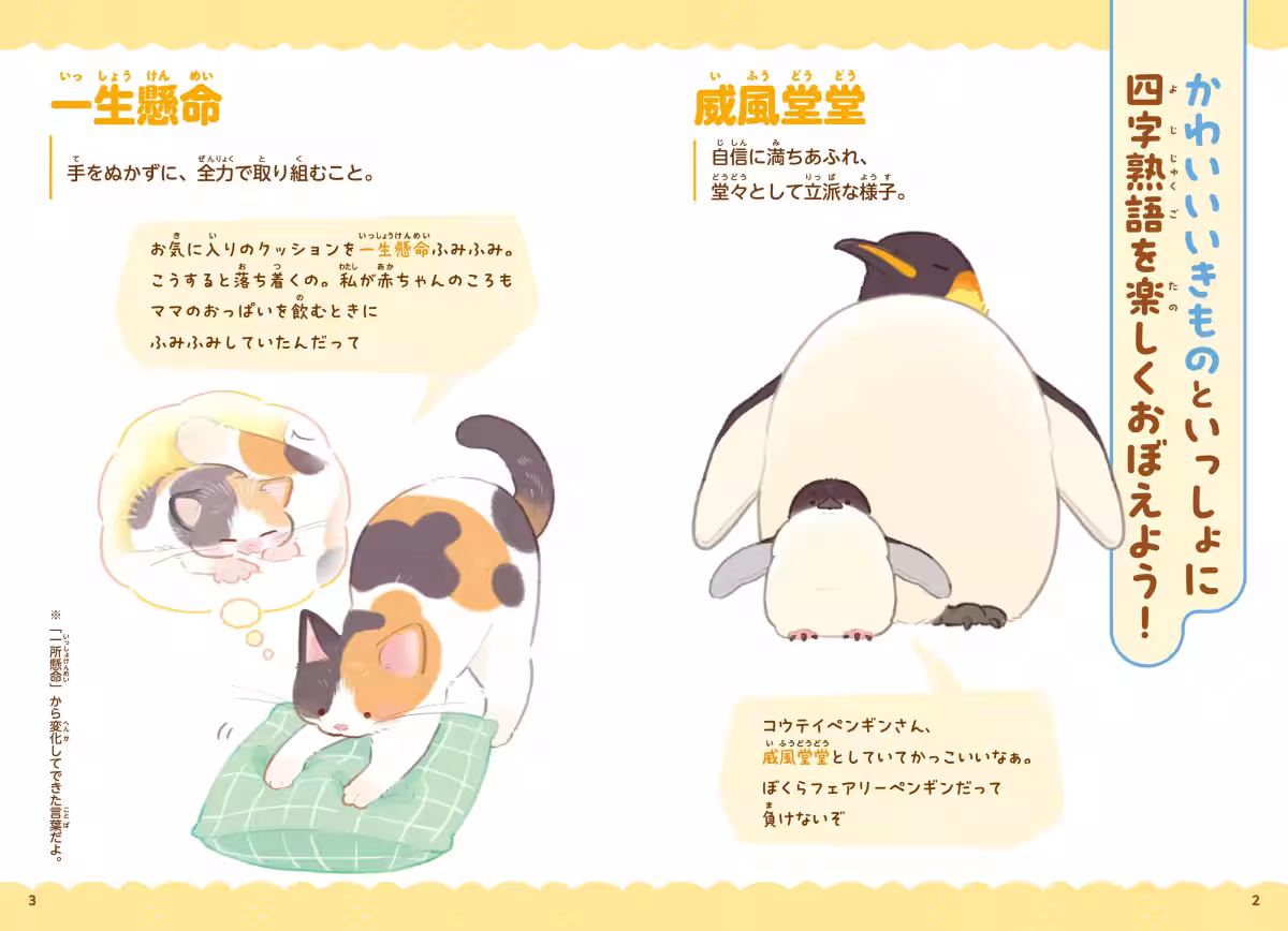画像9