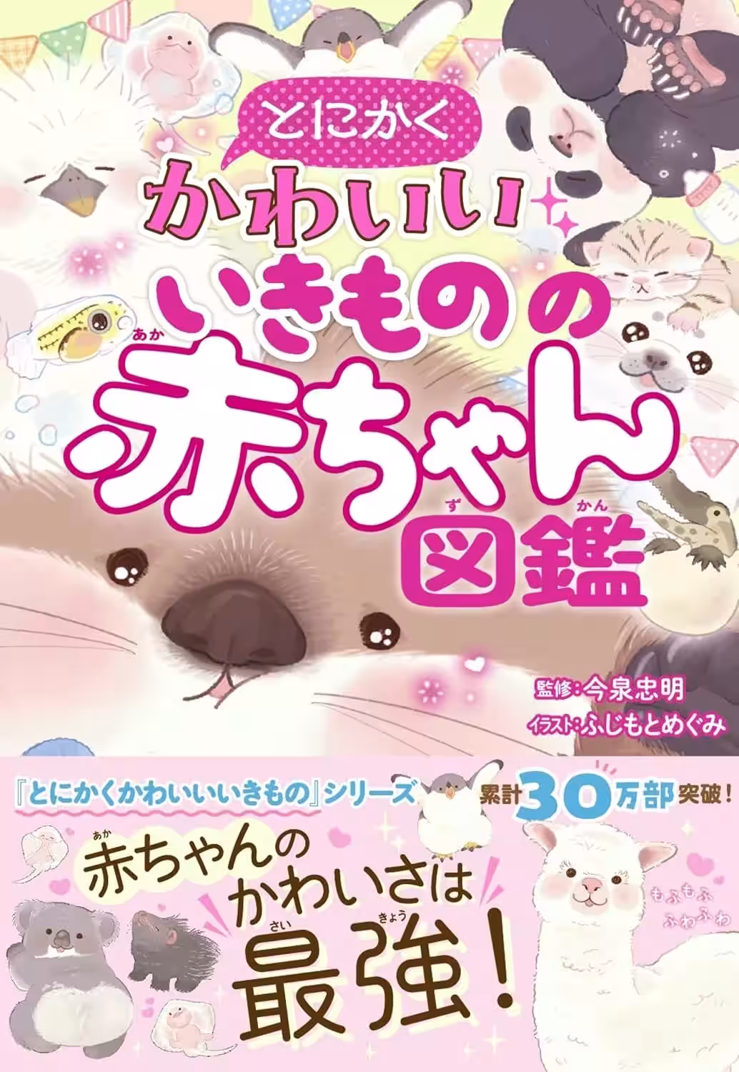 画像8