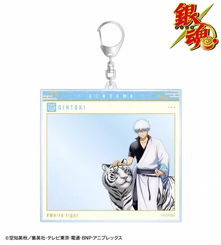 画像9