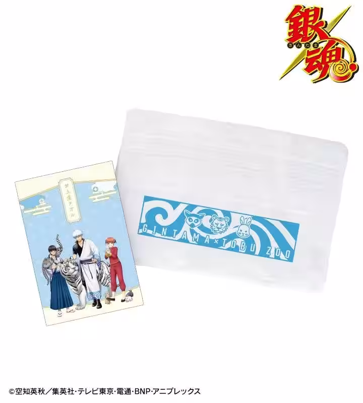 画像12