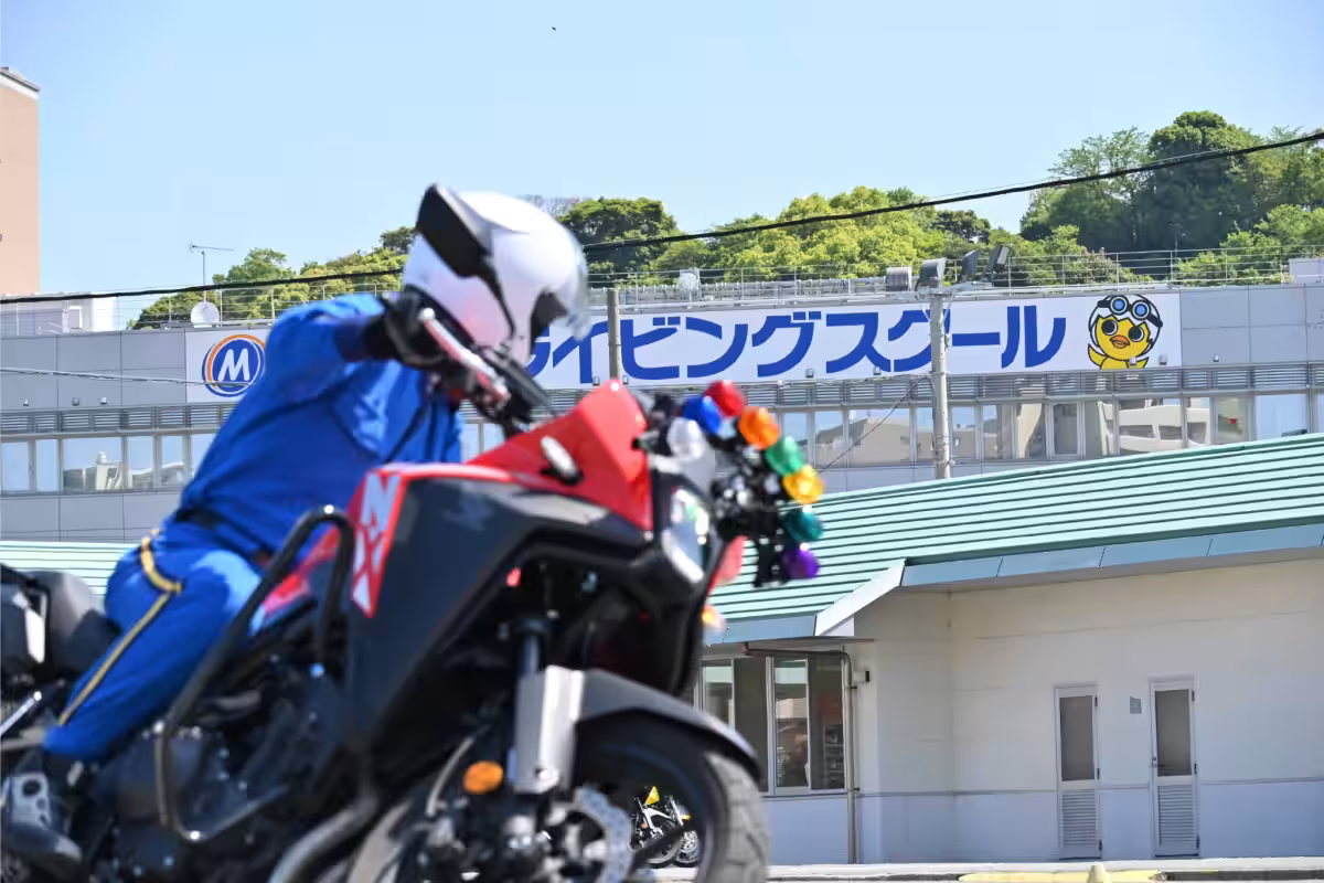 画像8